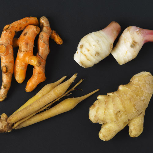 galangal vs ginger